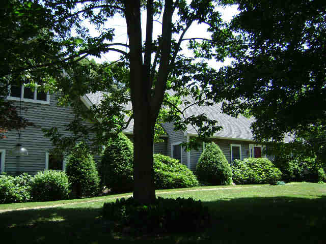 Building photograph for 181 WOOD CREEK RD